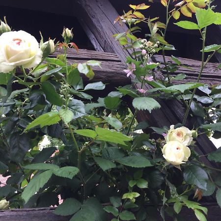 B&B Le Lodge Bourgheim Экстерьер фото