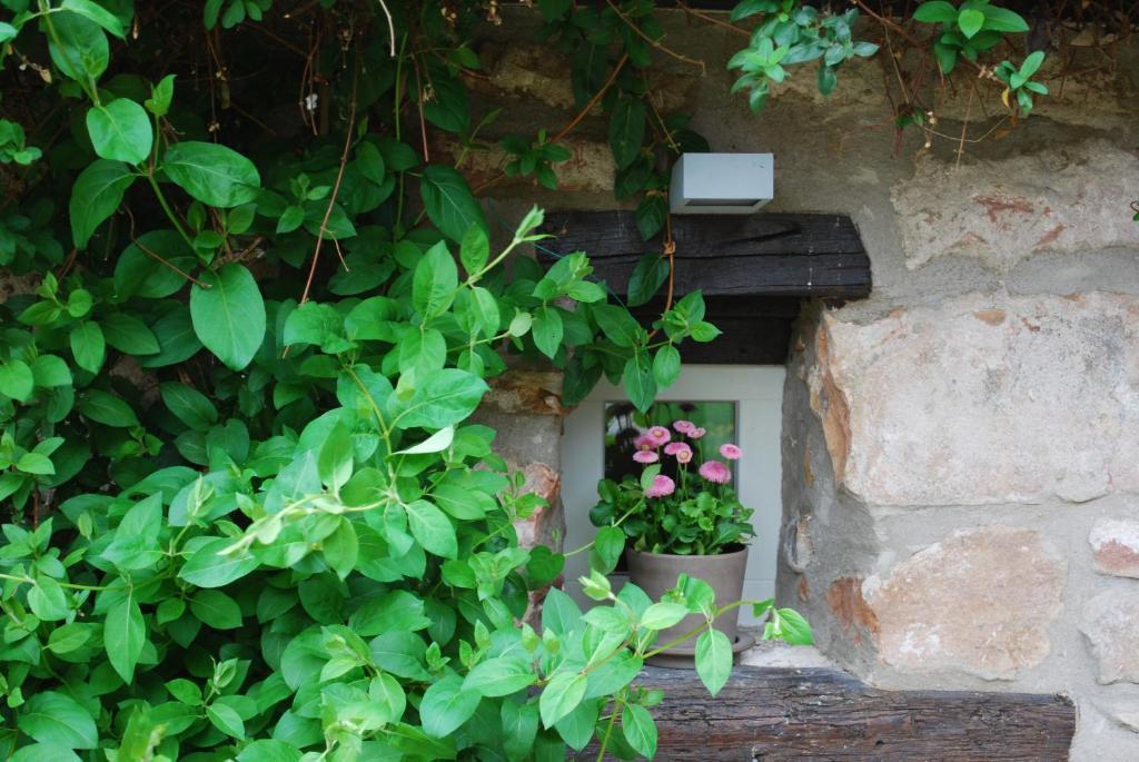 B&B Le Lodge Bourgheim Экстерьер фото